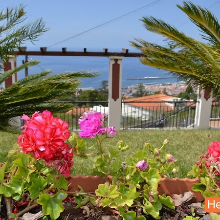 Henriques * Funchal (Madeira)