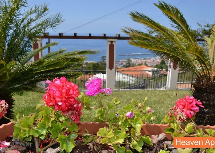 Henriques * Funchal (Madeira)